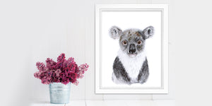 Australian Animal Portrait: Baby Koala Bear