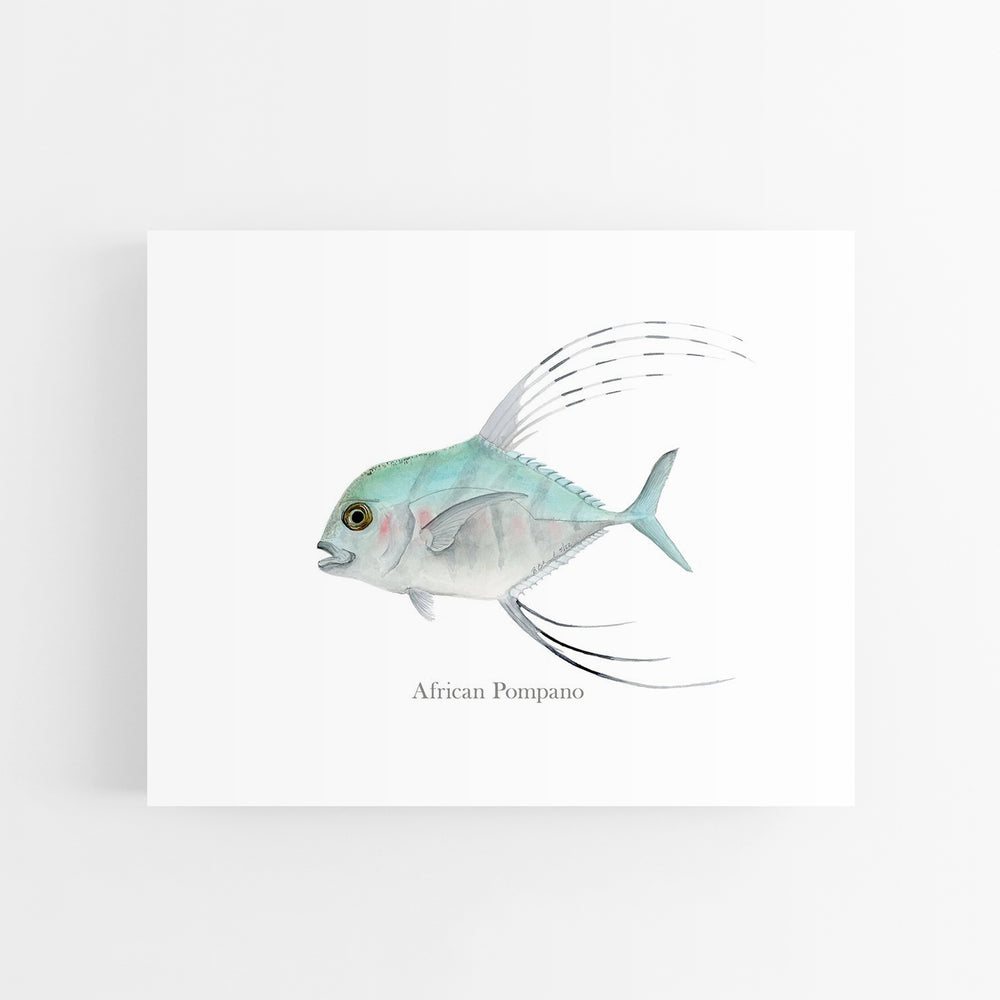 African Pompano Print - Tiny Toes Design