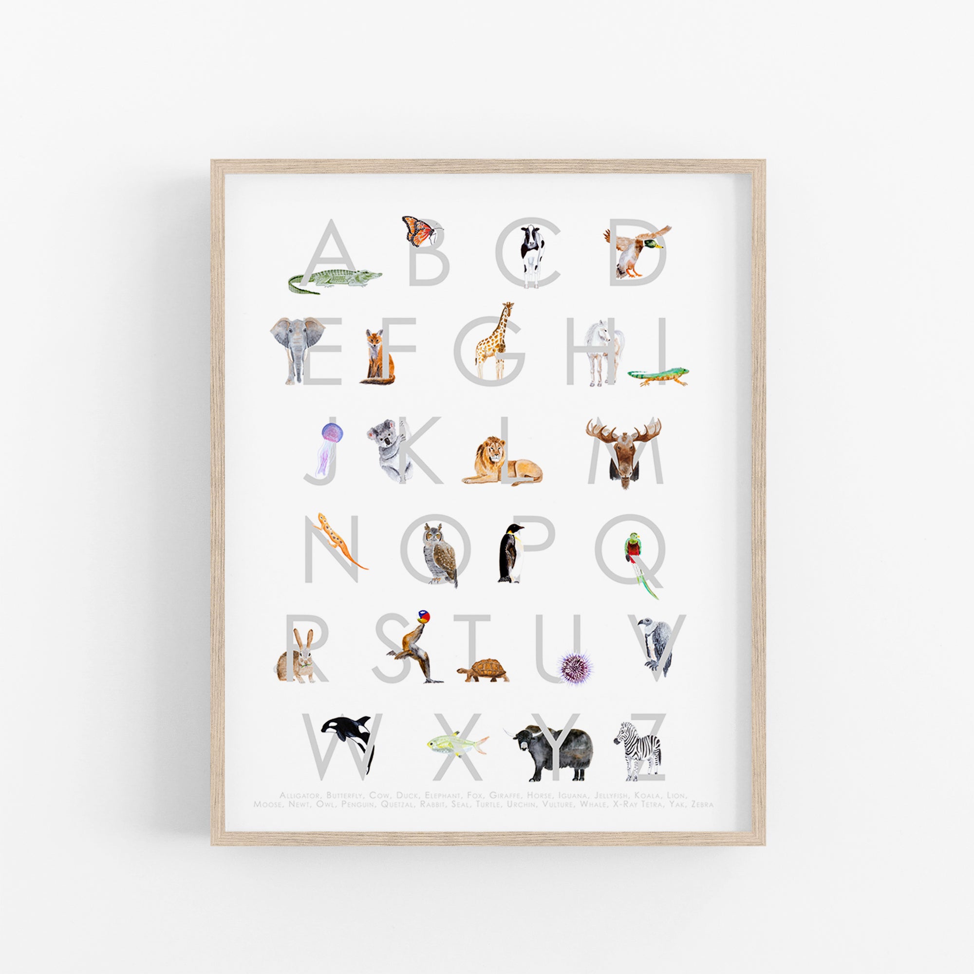 Animal Alphabet Nursery Art | ABCs Playroom Decor – Tiny Toes Design