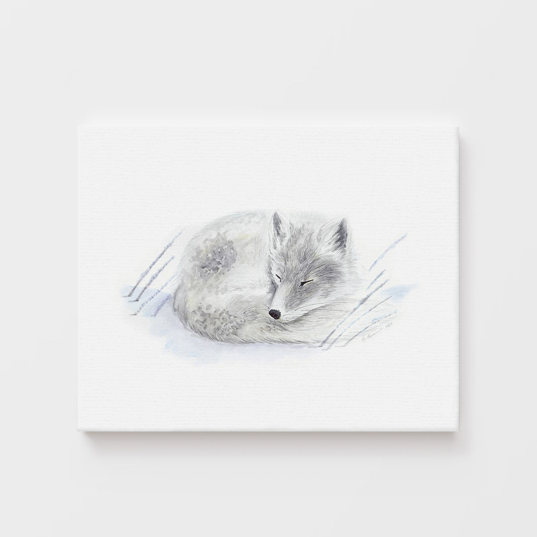 Sleeping Baby Arctic Fox - Tiny Toes Design