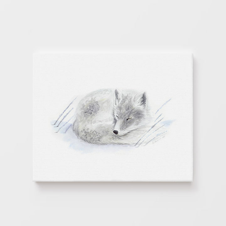 Sleeping Baby Arctic Fox - Tiny Toes Design