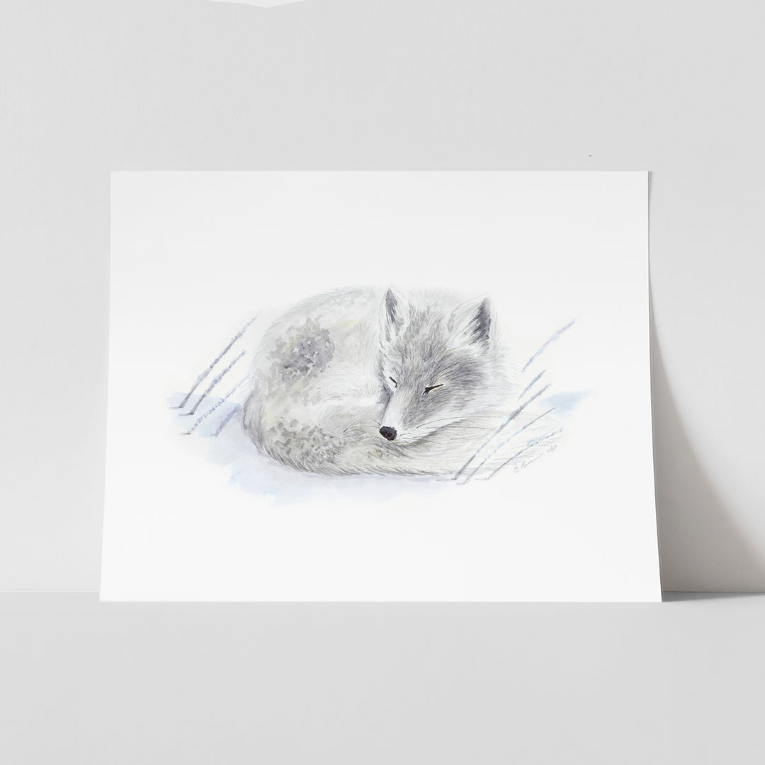 Sleeping Baby Arctic Fox - Tiny Toes Design