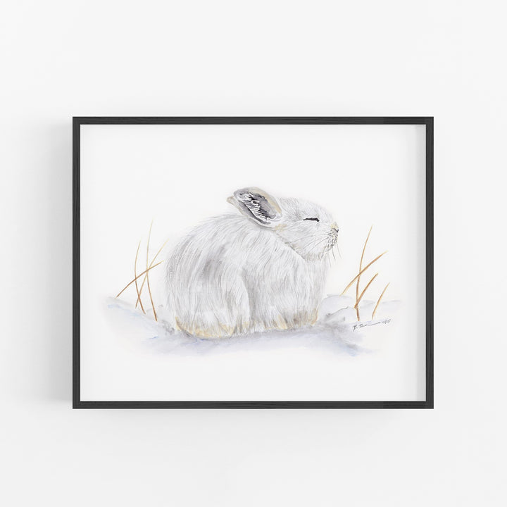 Sleeping Arctic Hare - Tiny Toes Design