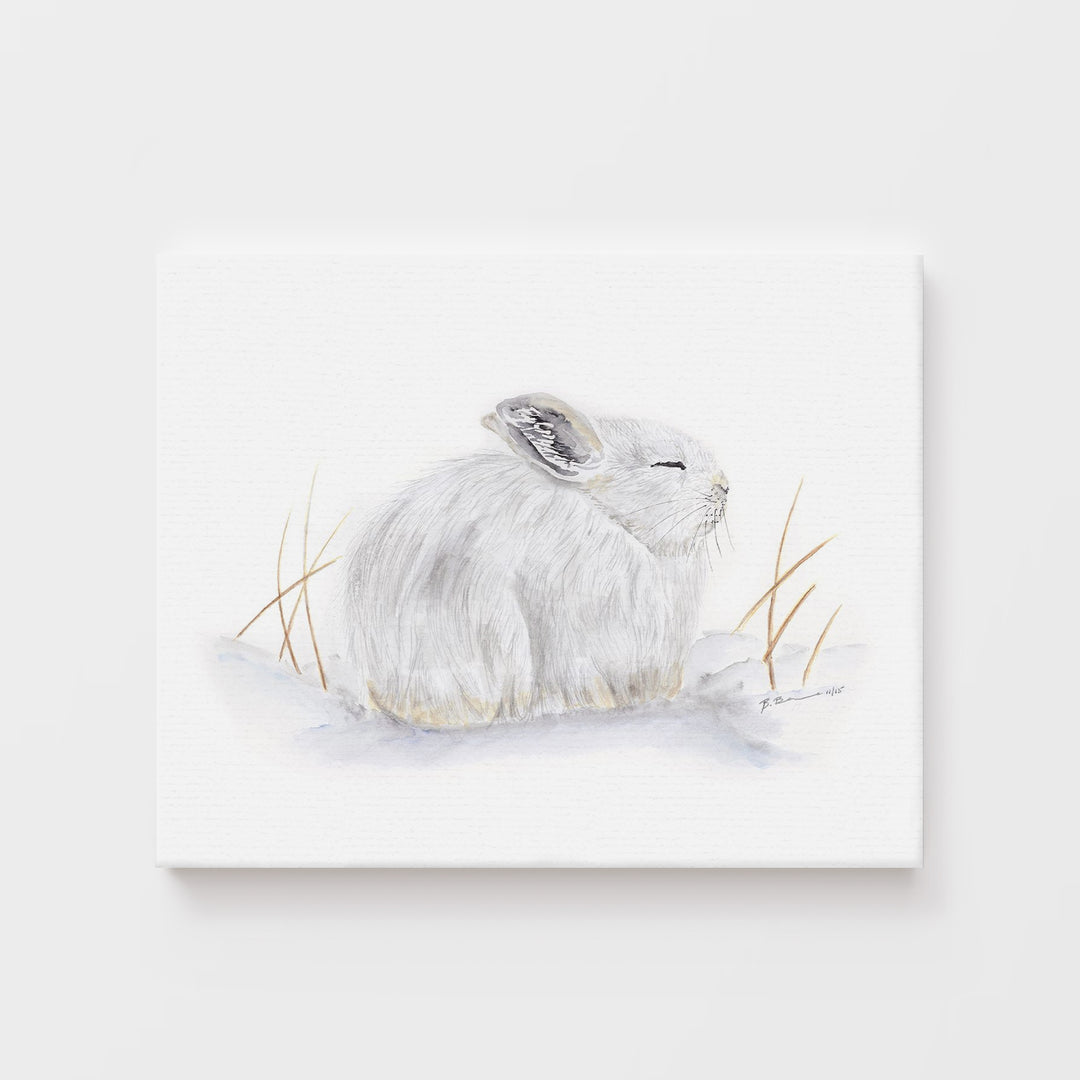 Sleeping Arctic Hare - Tiny Toes Design