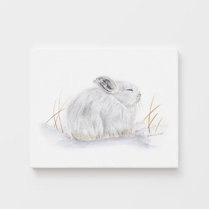 Sleeping Arctic Hare - Tiny Toes Design