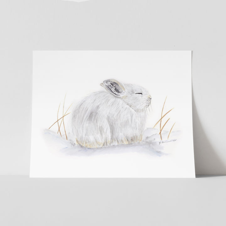 Sleeping Arctic Hare - Tiny Toes Design