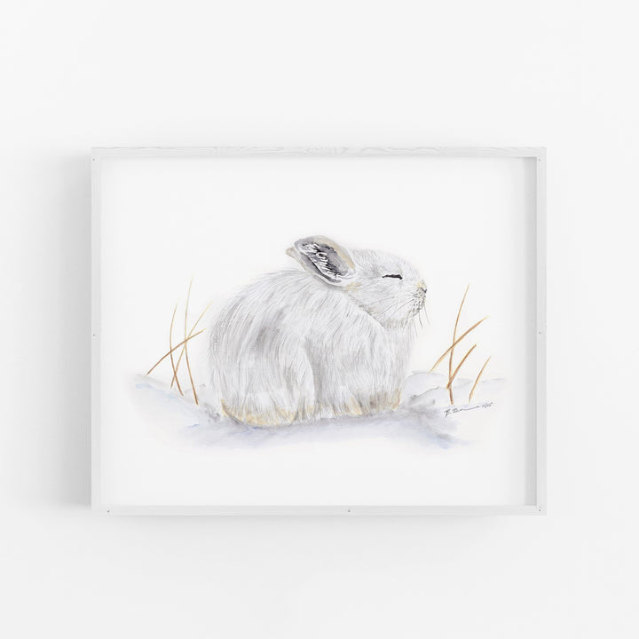 Sleeping Arctic Hare - Tiny Toes Design