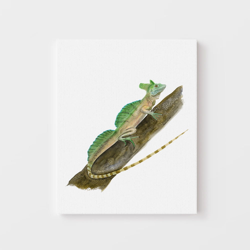 Green Basilisk Illustration - Tiny Toes Design