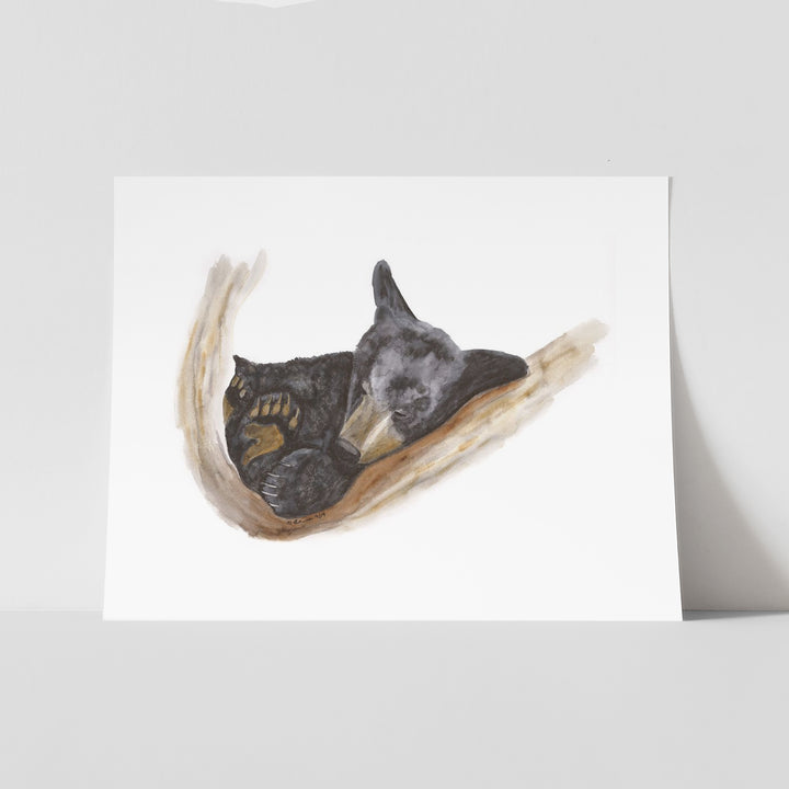Sleeping Baby Bear - Tiny Toes Design