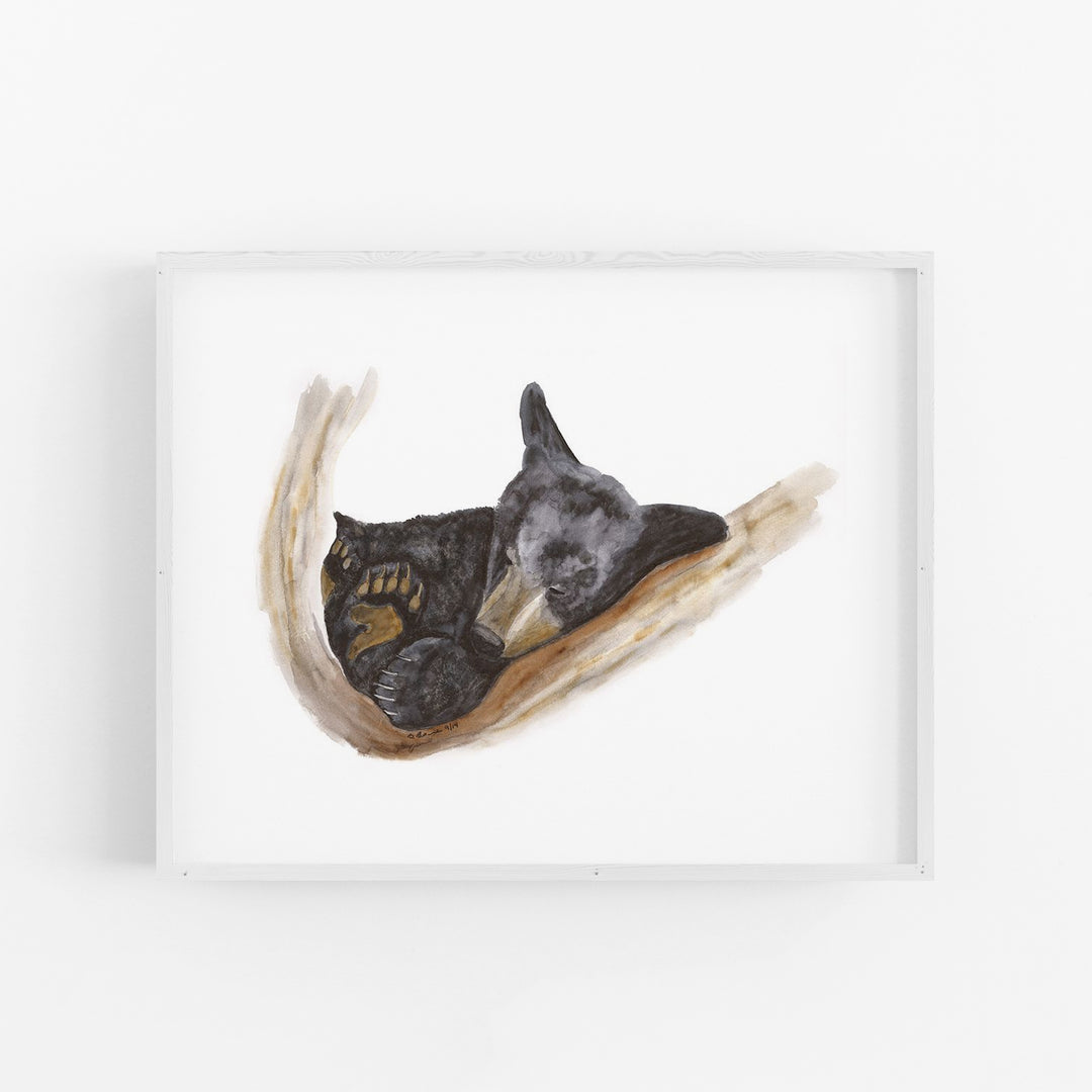 Sleeping Baby Bear - Tiny Toes Design