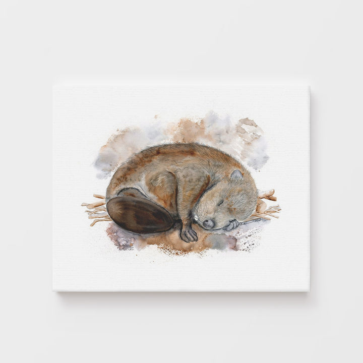 Sleeping Baby Beaver - Tiny Toes Design