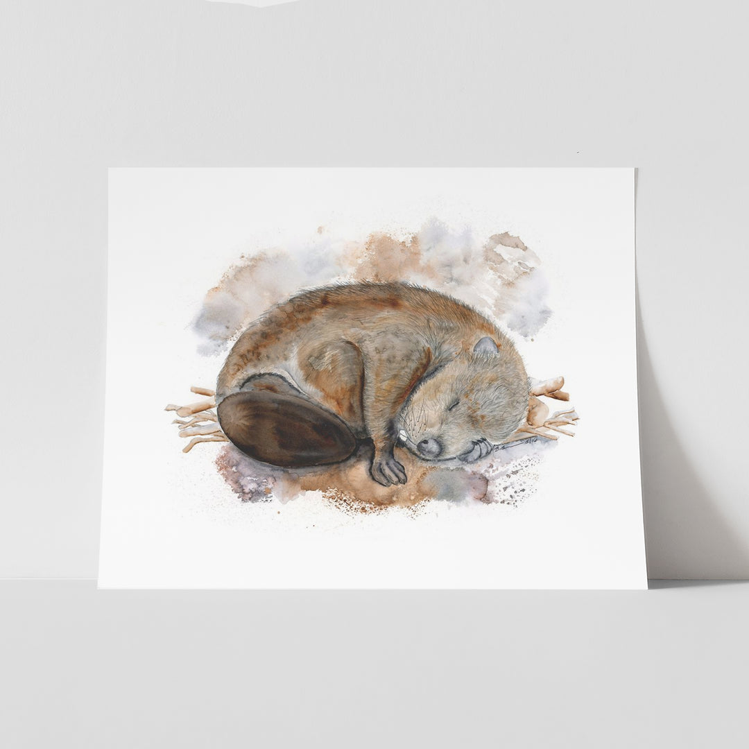 Sleeping Baby Beaver - Tiny Toes Design
