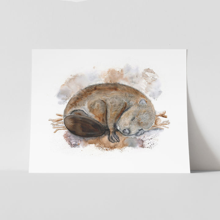 Sleeping Baby Beaver - Tiny Toes Design