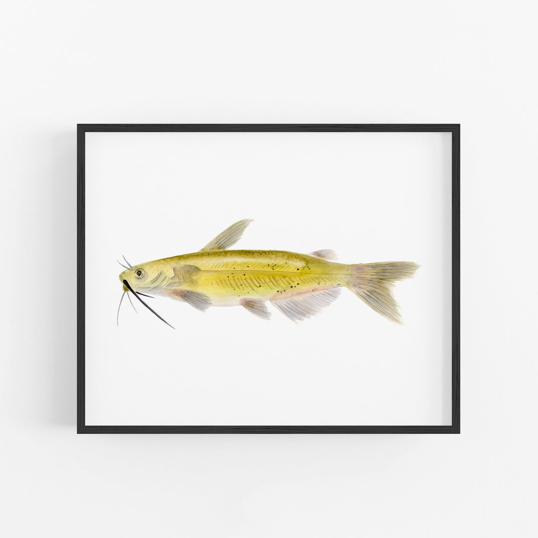 Channel Catfish Print - Tiny Toes Design