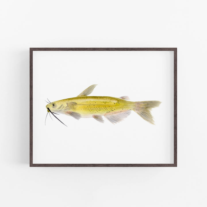 Channel Catfish Print - Tiny Toes Design