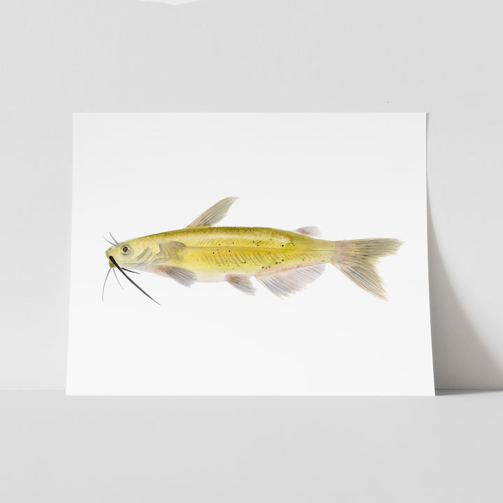 Channel Catfish Print - Tiny Toes Design