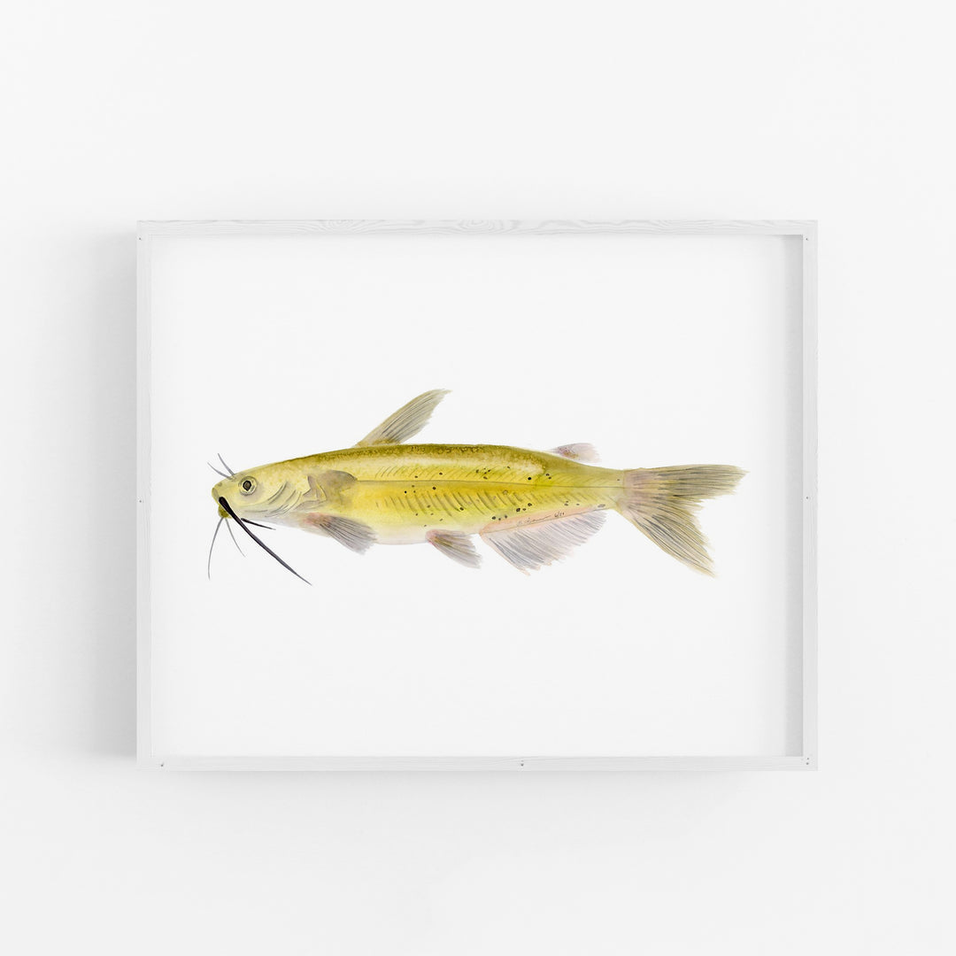 Channel Catfish Print - Tiny Toes Design