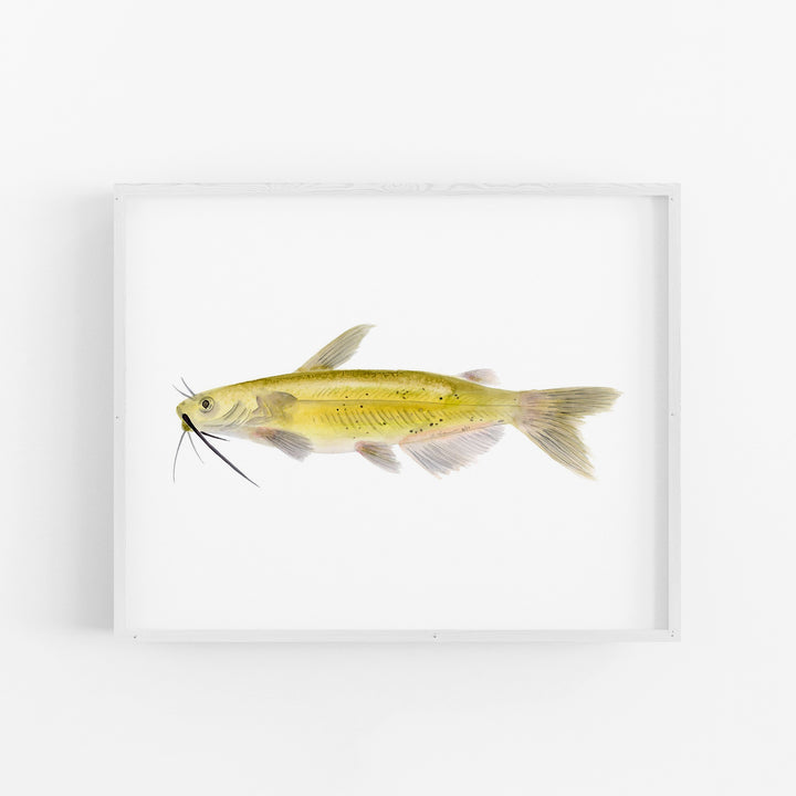 Channel Catfish Print - Tiny Toes Design