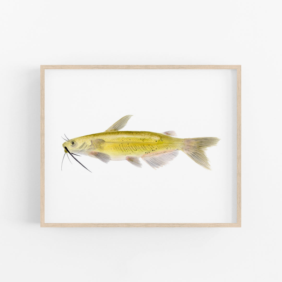 Channel Catfish Print - Tiny Toes Design