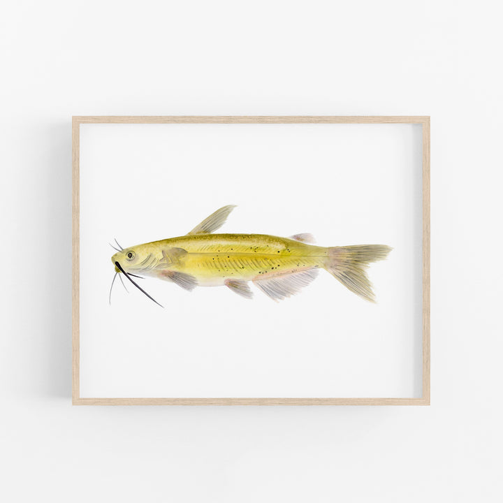 Channel Catfish Print - Tiny Toes Design