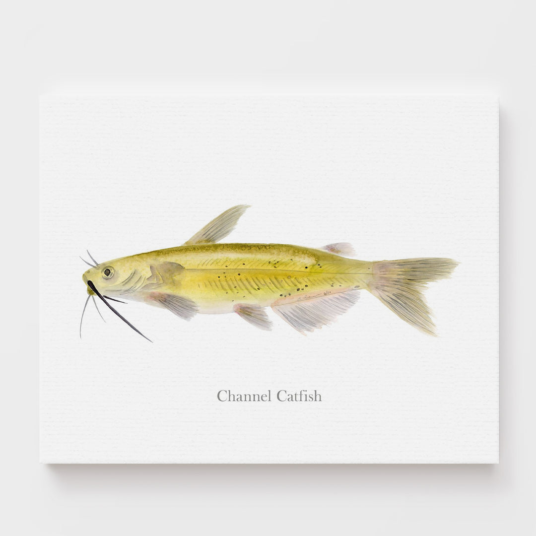 Channel Catfish Print - Tiny Toes Design