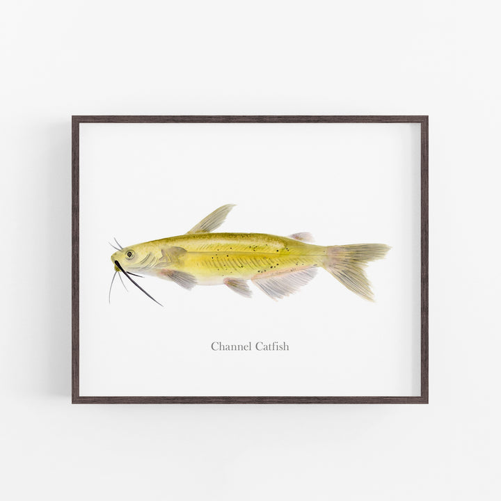 Channel Catfish Print - Tiny Toes Design