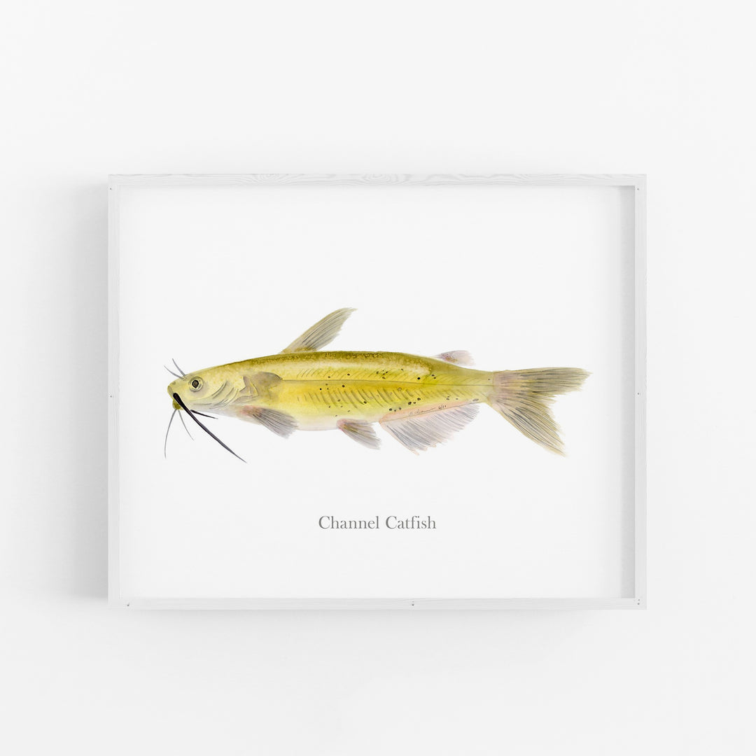 Channel Catfish Print - Tiny Toes Design