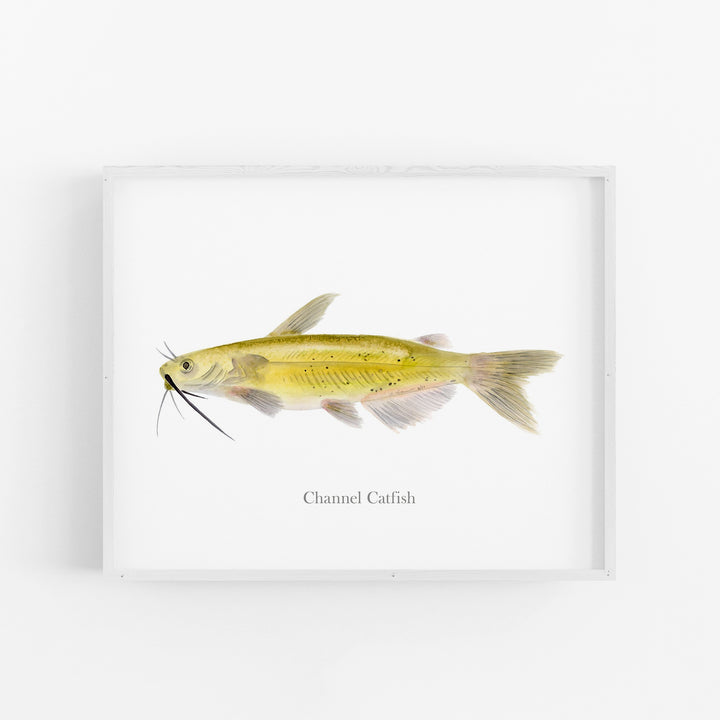 Channel Catfish Print - Tiny Toes Design