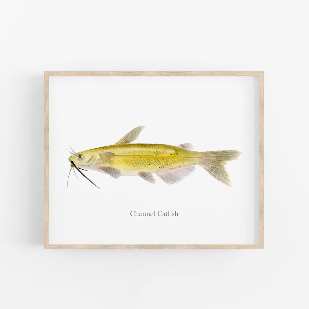 Channel Catfish Print - Tiny Toes Design