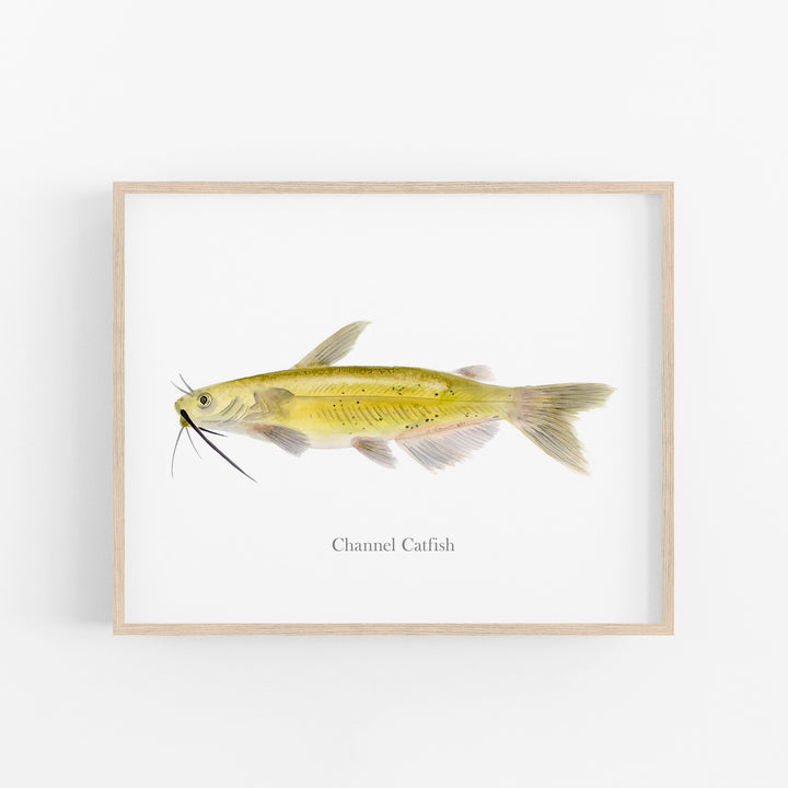 Channel Catfish Print - Tiny Toes Design