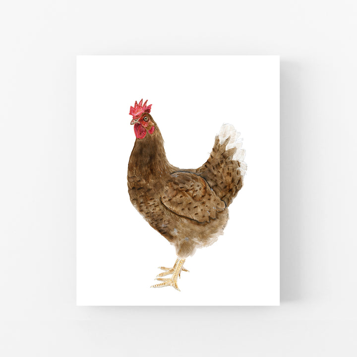 Chicken - Tiny Toes Design