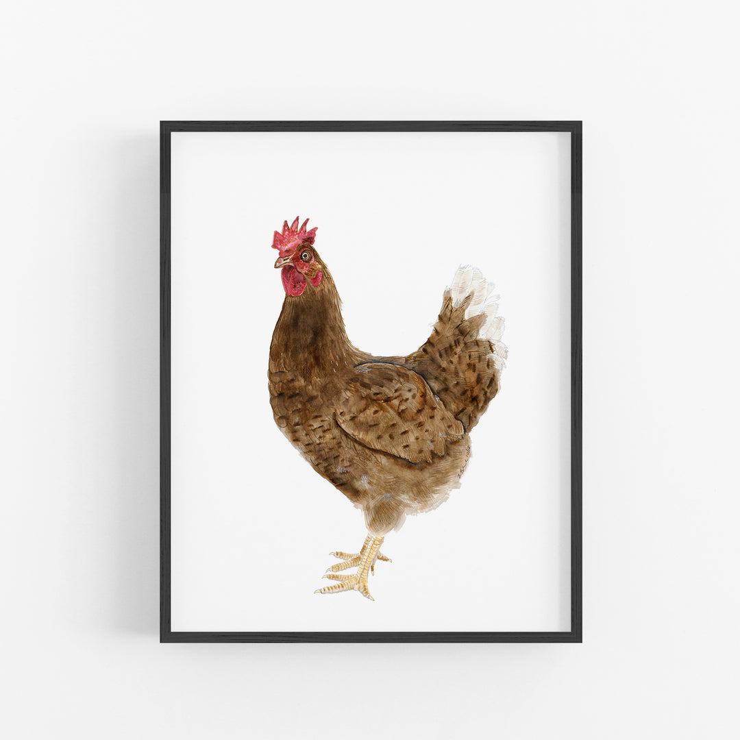 Chicken - Tiny Toes Design