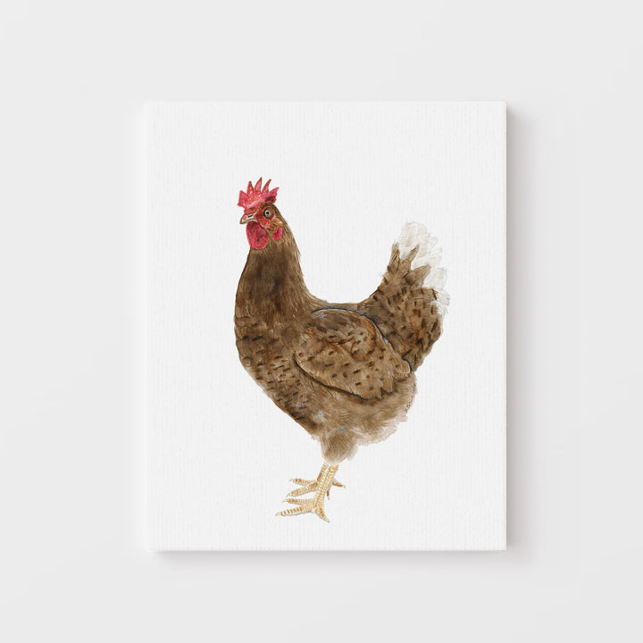 Chicken - Tiny Toes Design