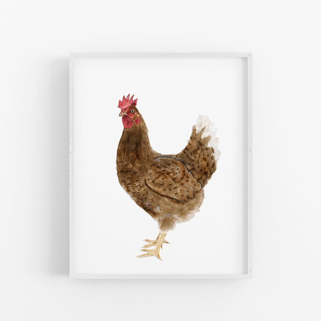 Chicken - Tiny Toes Design
