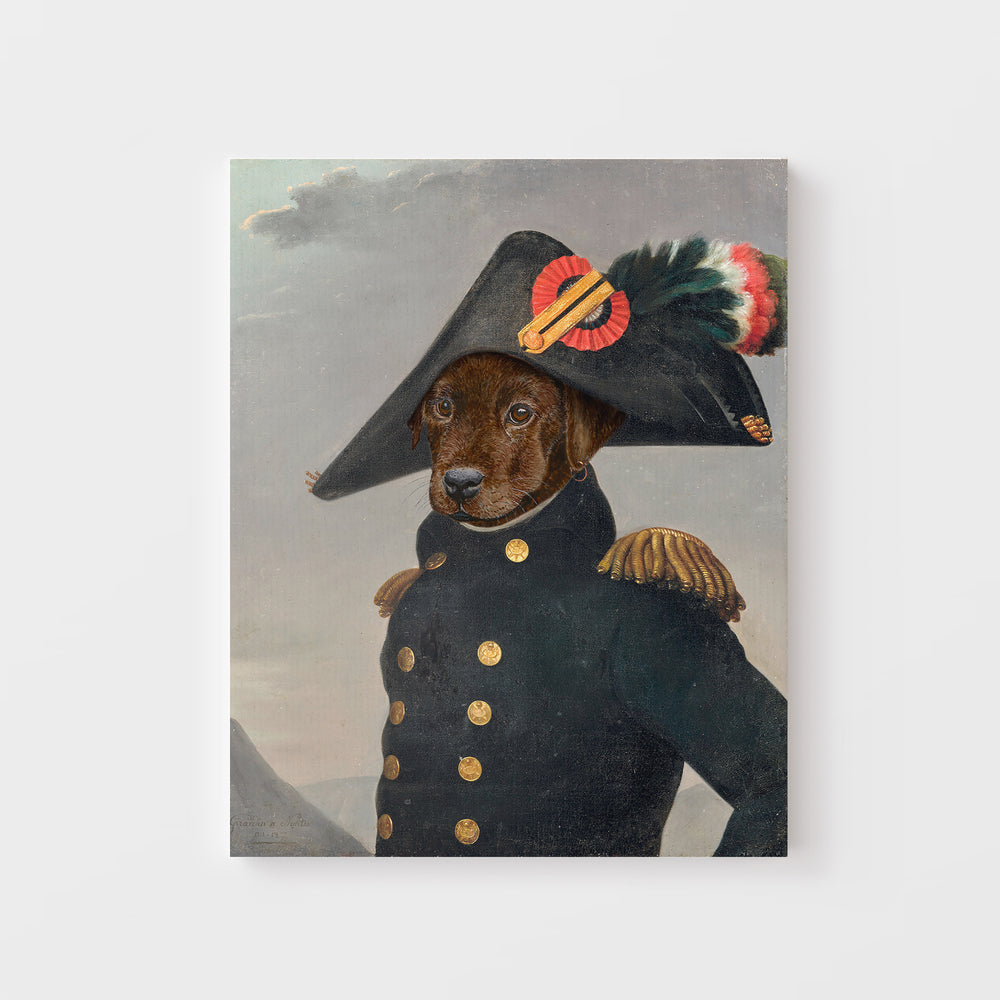 Liberating Lab - Tiny Toes Design