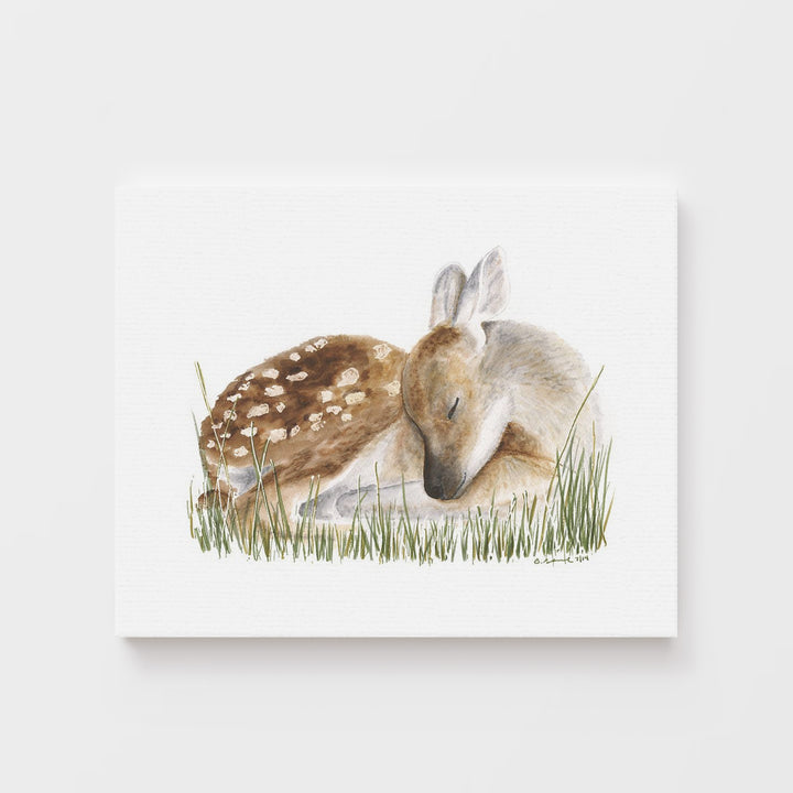 Sleeping Baby Deer - Tiny Toes Design