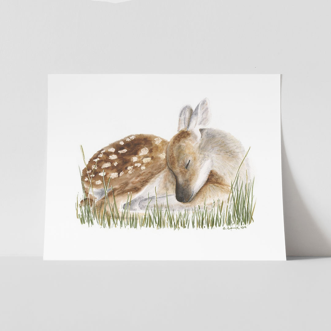 Sleeping Baby Deer - Tiny Toes Design