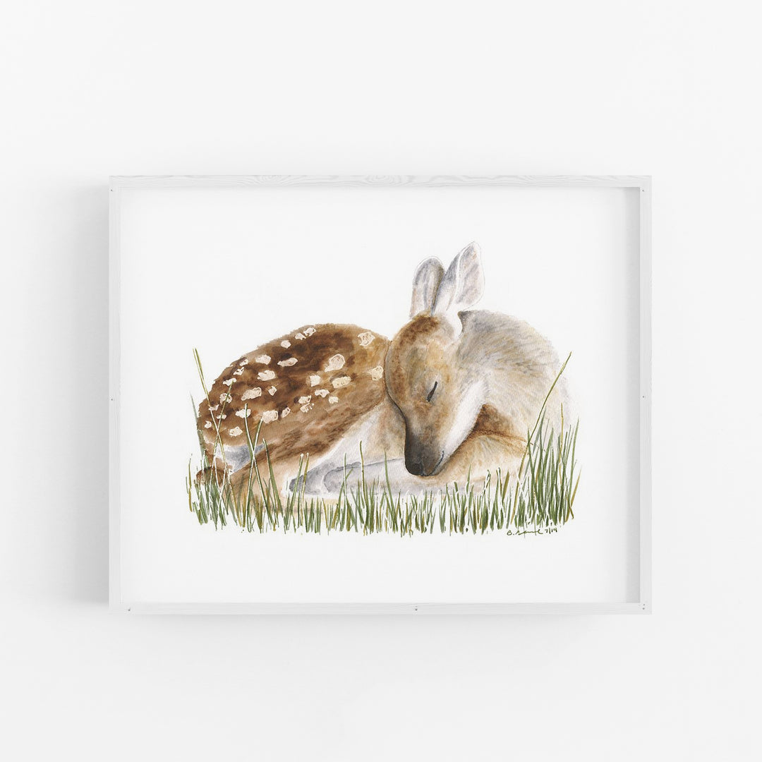 Sleeping Baby Deer - Tiny Toes Design