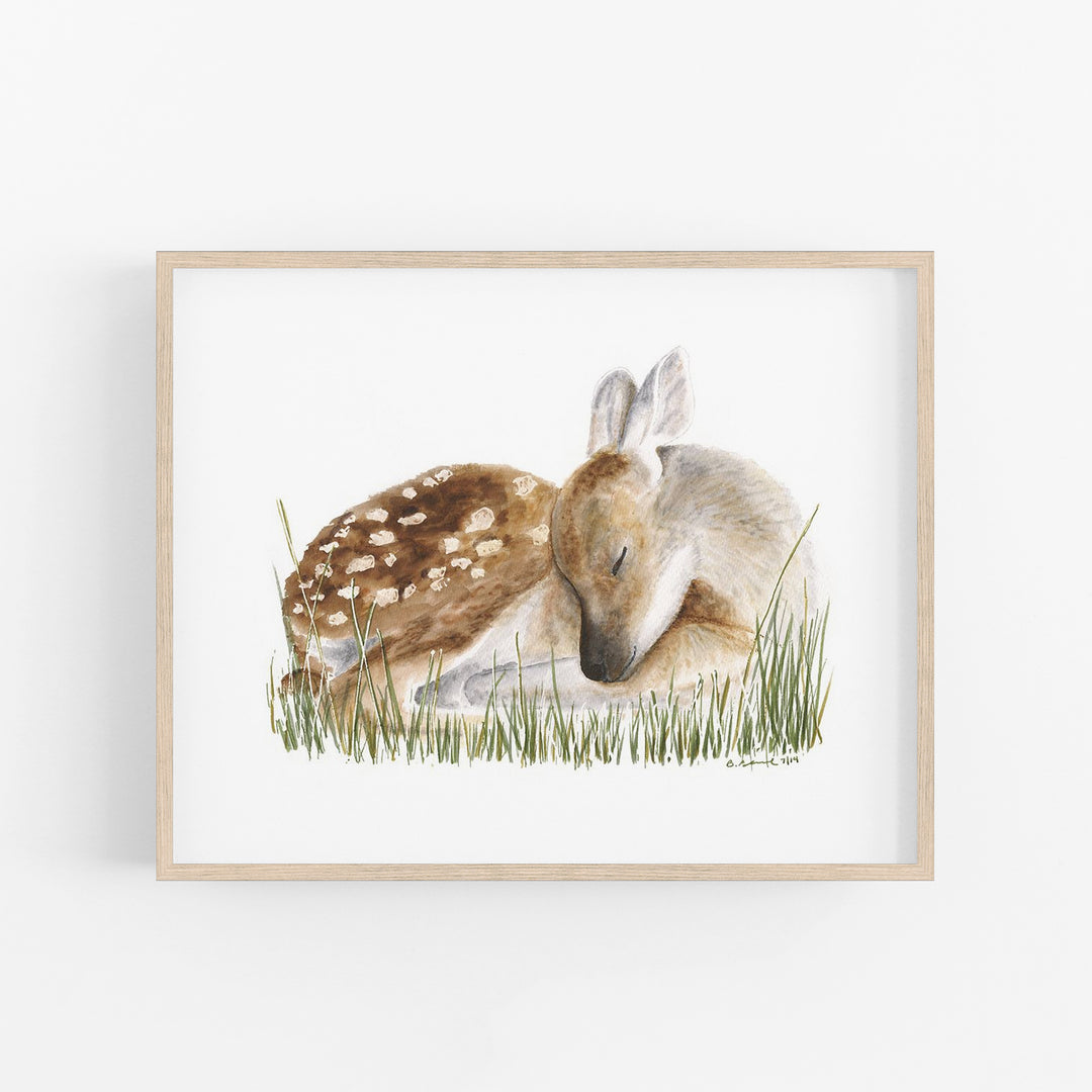 Sleeping Baby Deer - Tiny Toes Design