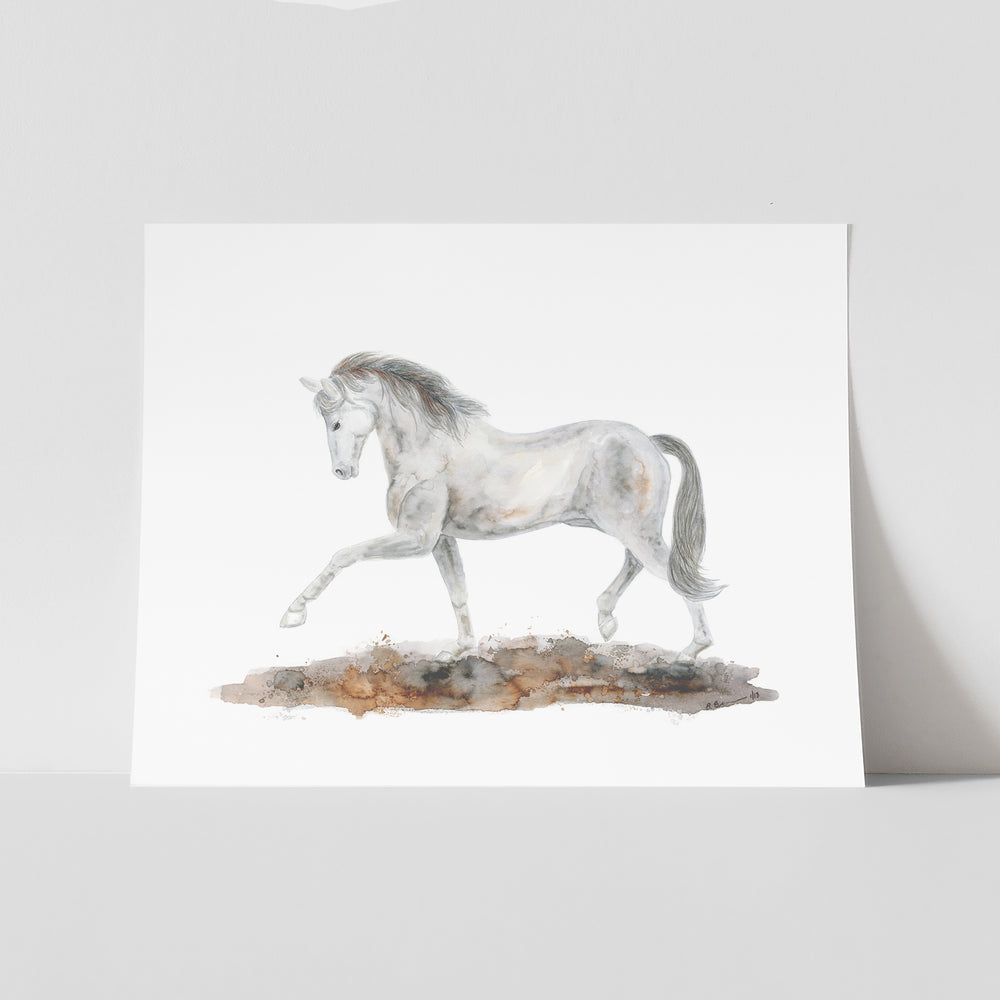 Arabian Dressage Horse Watercolor Print - Tiny Toes Design