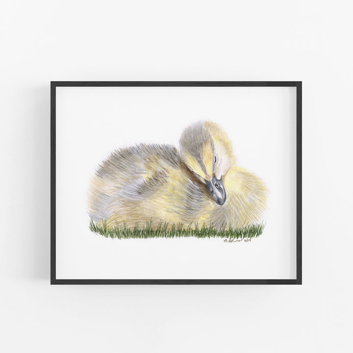 Sleeping Duckling - Tiny Toes Design