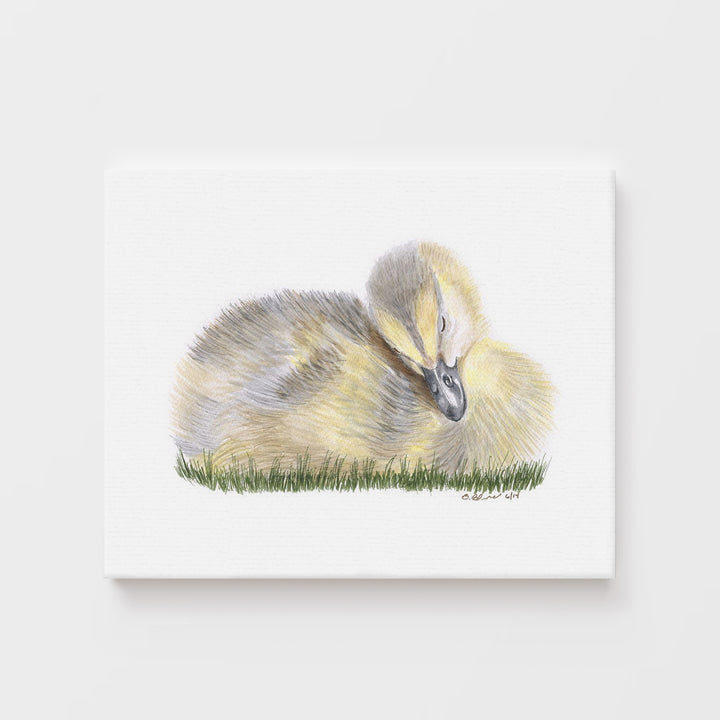 Sleeping Duckling - Tiny Toes Design