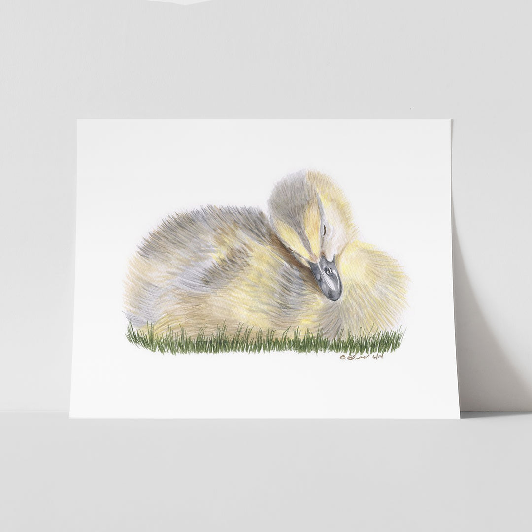 Sleeping Duckling - Tiny Toes Design
