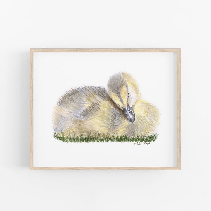 Sleeping Duckling - Tiny Toes Design