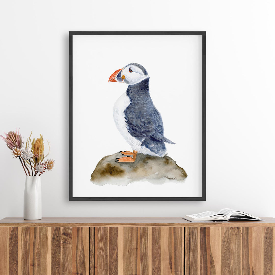 Atlantic Puffin - Tiny Toes Design