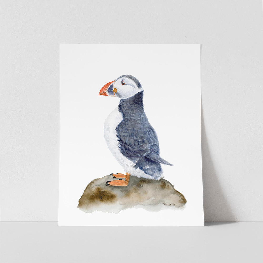 Atlantic Puffin - Tiny Toes Design