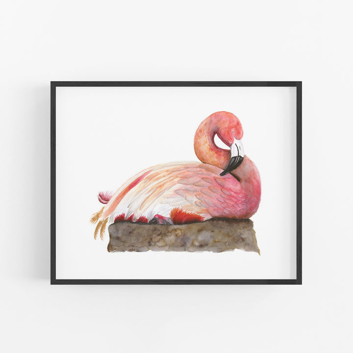 Sleeping Flamingo - Tiny Toes Design