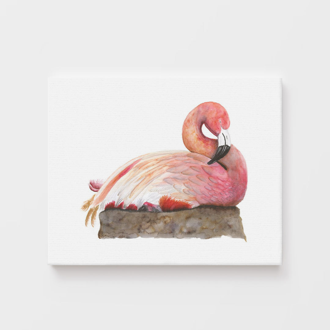 Sleeping Flamingo - Tiny Toes Design