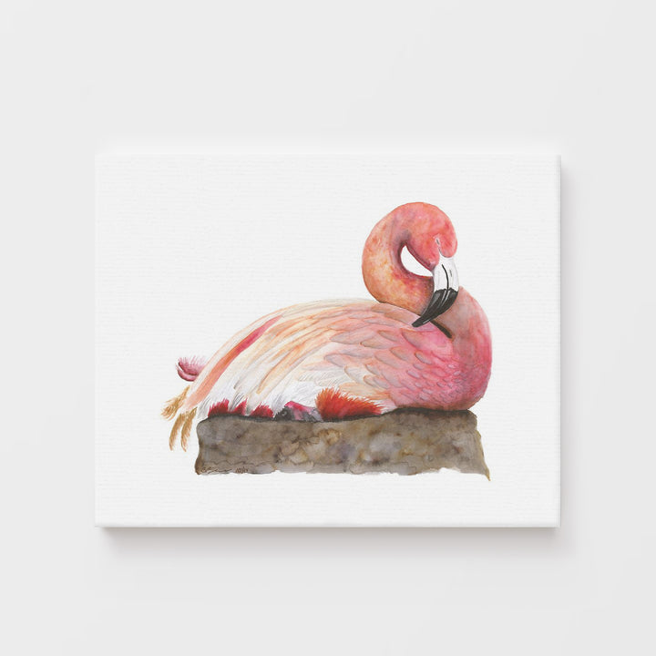 Sleeping Flamingo - Tiny Toes Design