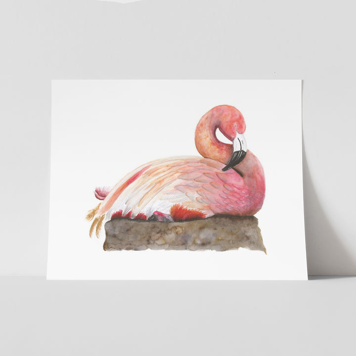 Sleeping Flamingo - Tiny Toes Design